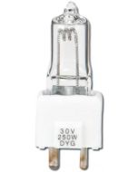 DYG Lamp - 250w/30v