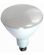 PAR 38 LED Lamp - 18w, 105°