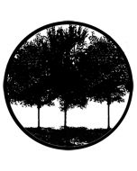 Rosco 78431 - Tree Silhouette 1