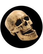 Rosco 86686 - Laughing Skull
