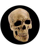 Rosco 86687 - Yorick Skull