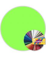 e-colour+ 121 - Leaf Green - 21"x24" sheet