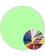 e-colour+ 138 - Pale Green - 21"x24" sheet
