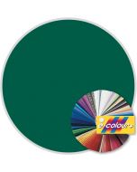 e-colour+ 325 - Mallard Green - 21"x24" sheet