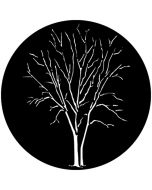 GAM 527 - Winter Trees A