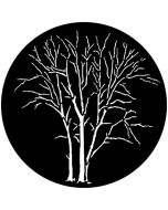 GAM 528 - Winter Trees B