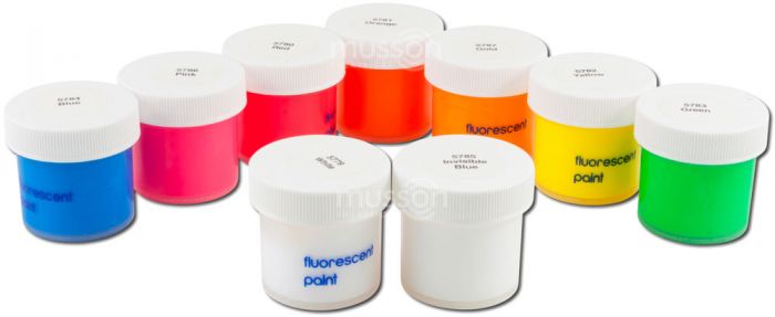 Fluorescent Paint Kit