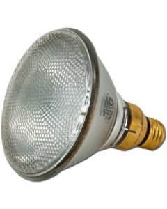 PAR 38 Lamp