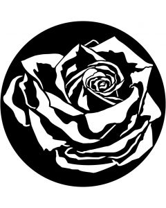 Apollo ME-1063 - Rose With Shadow