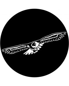 Apollo ME-1136 - Soaring Eagle