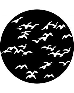 Apollo ME-1137 - Flock of Birds